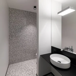 EGGER LICHT Egger Clippo spot sufitowy LED dim-to-warm czarny - Lampy sufitowe - miniaturka - grafika 2