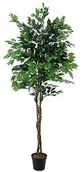 Sztuczne drzewka - Europalms Europalms Ficus tree multi-trunk, 210cm , Sztuczne drzewo 82506127 - miniaturka - grafika 1