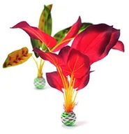 Dekoracje do akwarium - Oase Reef One jedwabny roślin - miniaturka - grafika 1