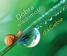 DOBRA WIADOMOŚĆ DLA CIEBIE PEREŁKI Opracowanie zbiorowe - Aforyzmy i sentencje - miniaturka - grafika 2