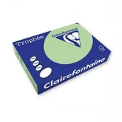 Papier do drukarek - Papier ksero TROPHEE A4/120 zieleń trawy EM513 - miniaturka - grafika 1