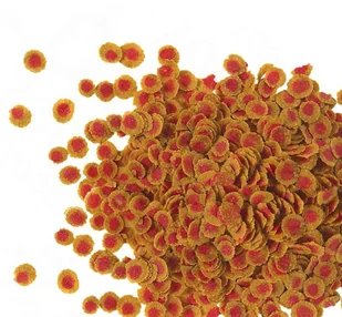 Tetra TETRAPro Colour 10 L 26065-uniw - Pokarm dla ryb - miniaturka - grafika 2