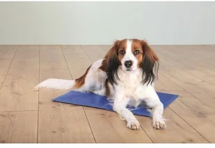 Trixie Mata chłodząca 40x30 cm niebieska 1szt TX-28683 TX-28683 - Legowiska dla psów - miniaturka - grafika 3