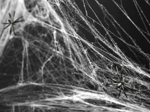 PartyDeco Dekoracja "Pajęczyna Nylon", biała, 60 g PH60-008 - Halloween - miniaturka - grafika 7