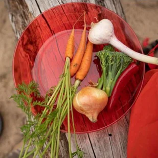 Primus Talerz turystyczny CampFire Lightweight - barn red 740831 - Kuchnia turystyczne i akcesoria - miniaturka - grafika 4