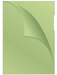 Q-CONNECT OBWOLUTA TYPU L, PP, A4, GROSZKOWA, ZIELONA - Koszulki na dokumenty - miniaturka - grafika 5