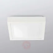 Lampy sufitowe - Faro Barcelona TOLA 62968 lampa sufitowa TOLA-1, 1 X E27, 20 W, 270 X 270 MM, biała 62968 - miniaturka - grafika 1
