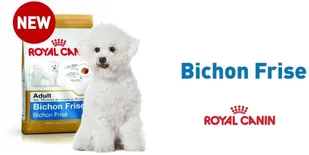 Royal Canin Bichon Frise 1,5 kg - Sucha karma dla psów - miniaturka - grafika 2
