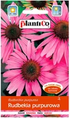 Nasiona i cebule - Plantico Rudbekia purpurowa - miniaturka - grafika 1