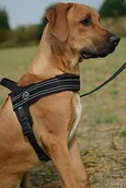 Szelki dla psów - Treponti Tre Ponti tp1010 uprząż dla psa w przypadku dużych psów, czarny - miniaturka - grafika 1