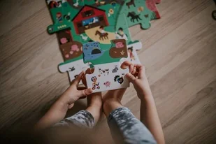 Janod Puzzle obserwacyjne w walizce Farma 24 elementy 3+ Made in France, solution-bc-7528-0 - Puzzle - miniaturka - grafika 9