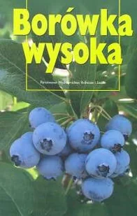 Borówka wysoka - Albumy - przyroda - miniaturka - grafika 2