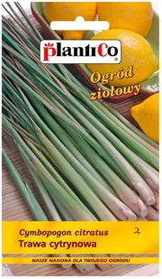 Plantico Trawa cytrynowa - Trawy i trawniki Plantico Trawa cytrynowa - Trawy i trawniki - miniaturka - grafika 1
