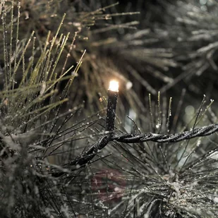 KonstSmide Lampki choinkowe LED 40 sztuk, , zewnętrzne, 24 V 3610-110 - Pozostałe oświetlenie KonstSmide Lampki choinkowe LED 40 sztuk, , zewnętrzne, 24 V 3610-110 - Pozostałe oświetlenie - miniaturka - grafika 3