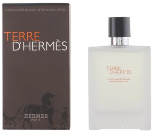 Hermes Terre DHermes M) ash 100ml - Kosmetyki do golenia - miniaturka - grafika 3