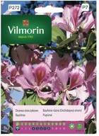 Nasiona i cebule - Vilmorin Nasiona drzewo storczykowe - miniaturka - grafika 1