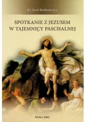 Religia i religioznawstwo - Spotkanie z Jezusem w tajemnicy paschalnej Używana - miniaturka - grafika 1