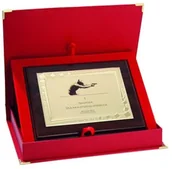 Gadżety dla kibiców - UPOMINKARNIA Dyplom Z Tworzywa Sztucznego Z Metalową Blaszką Grawerowany + Etui victoriasport-HG85+ETUI-0 - miniaturka - grafika 1