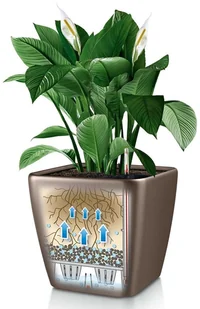 Lechuza Donica Quadro 35 LS ALL-IN-ONE, taupe, wysoki połysk, 16165 - Donice - miniaturka - grafika 3