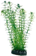 Dekoracje do akwarium - Hobby lagarosiphon, 20 cm - miniaturka - grafika 1