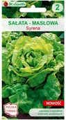Nasiona i cebule - Legutko Sałata masłowa głowiasta Syrena nasiona W.Legutko - miniaturka - grafika 1