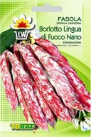 Nasiona i cebule - Toraf Fasola dwubarwna Borlotto nasiona warzyw 30g 00101 - miniaturka - grafika 1