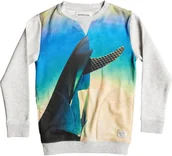 Bluzy dla chłopców - Quiksilver bluza ęca PHOTOPRINT CREW SGRH - miniaturka - grafika 1
