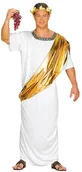 Stroje karnawałowe - Guirca Kostium Cezara GU84687 - miniaturka - grafika 1