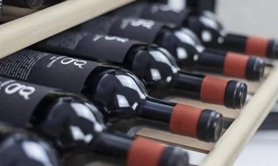 Caso Germany Chłodziarka do wina WineSafe 18 EB Inox - Chłodziarki do wina - miniaturka - grafika 2