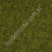 Kolejki i akcesoria - NOCH Podsypka statyczna, trawa wiosenna 2,5mm / 20g 08312 - miniaturka - grafika 1