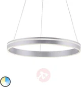 Systemy inteligentnych domów - Paul Neuhaus Inteligentna lampa wisząca stal 59 cm z pilotem - Ronith - miniaturka - grafika 1