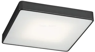 Argon Plafon 45X45cm 35W LED ONTARIO 3577  3577 - Lampy pozostałe - miniaturka - grafika 2