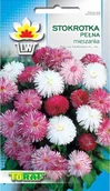 Nasiona i cebule - Toraf KWIATY Stokrotka pełna mix nasiona 0,2g 00489 - miniaturka - grafika 1