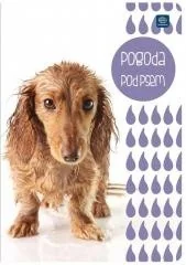 Inter-druk Zeszyt A5/16K gładki (20szt) - Zeszyty szkolne - miniaturka - grafika 2