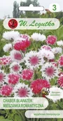 Nasiona i cebule - Legutko Chaber bławatek Classic Romantic 5903837074136 - miniaturka - grafika 1