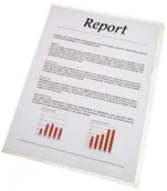 Ofertówki - Esselte OFERTÓWKI A4 PLAST. 80MIC KRYSTAL. 100SZT. (0B) 54810 - miniaturka - grafika 1