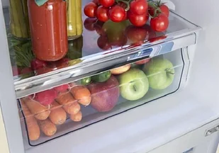 Lodówka Amica FK2965.3GAA - Lodówki - miniaturka - grafika 9