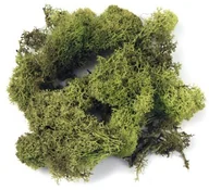 Nożyce kuchenne - Rayher Hobby Rayher porost 8503211 islandzki, SB-Btl. 100 G, h. Zielony 85-032-11 - miniaturka - grafika 1