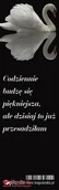 Powieści - Bogulandia Zakładka do książki - Codziennie budzę się... - miniaturka - grafika 1