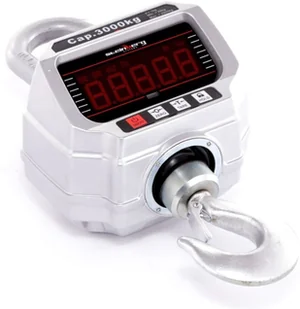 Steinberg Systems 456 45674865 Waga hakowa udźwig 3000 kg) 74865-uniw - Wagi specjalistyczne - miniaturka - grafika 3