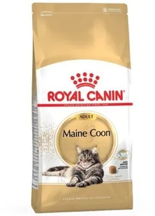 Royal Canin bytówka ROYAL CANIN Maine Coon Adult 31 4kg + Pojemnik na karmę Curver 10l 4kg 234820 - Mokra karma dla kotów - miniaturka - grafika 3