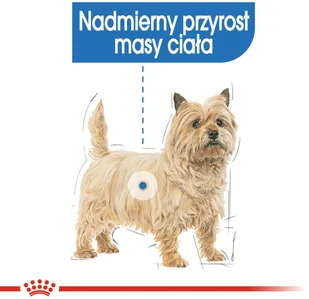 Royal Canin CCN Light Weight Care 12x85g karma mokra pasztet dla psów dorosłych z tendencją do nadwagi 25442-uniw - Mokra karma dla psów - miniaturka - grafika 4