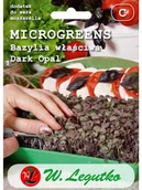 Nasiona na kiełki - Legutko Bazylia właściwa DARK OPAL - miniaturka - grafika 1