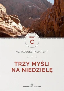 Trzy myśli na niedzielę. Rok C - Religia i religioznawstwo - miniaturka - grafika 2