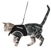 Szelki dla psów - Trixie Szelki dla kota X-cat KTRI096 - miniaturka - grafika 1