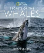 Pozostałe książki - NATL GEOGRAPHIC SOC Secrets of the Whales - miniaturka - grafika 1