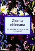 Literatura obyczajowa - Ziemia obiecana Używana - miniaturka - grafika 1