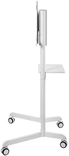 NewStar Stojak podłogowy NS-M1250WHITE - Akcesoria do monitorów - miniaturka - grafika 4