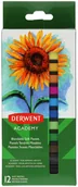 Kredki, ołówki, pastele i pisaki - Derwent Pastele suche miękkie 12kol Academy 2302397 - miniaturka - grafika 1