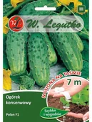 Nasiona i cebule - Legutko Ogórek gruntowy POLAN - miniaturka - grafika 1